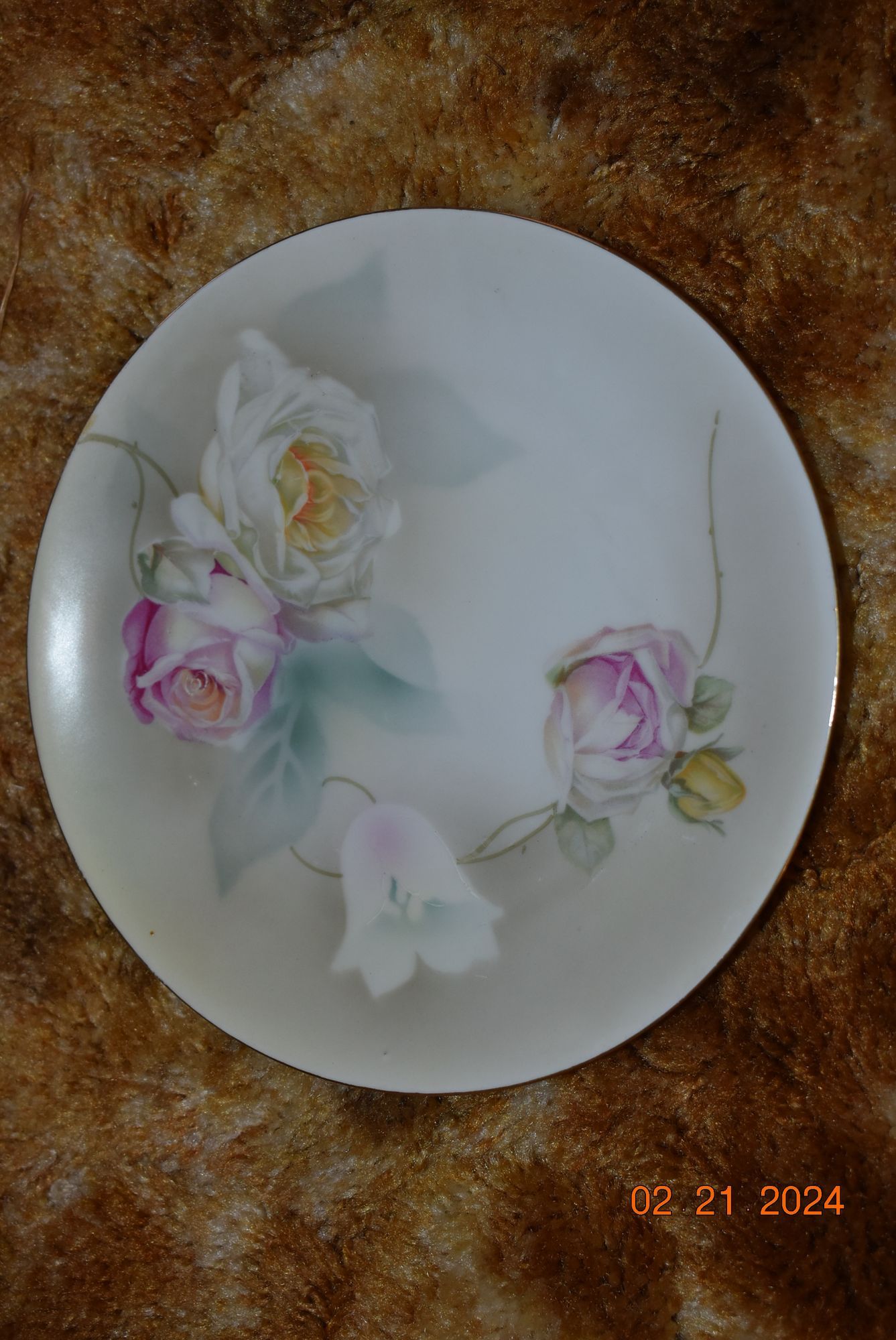 Antique glass plate