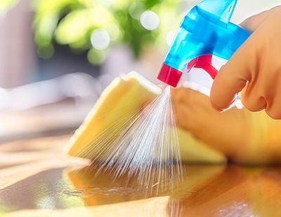Cleaning with Spray Detergent — Jacksonvile, NC — Carolina Clean Care