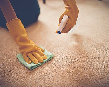 Removing Stain — Jacksonvile, NC — Carolina Clean Care