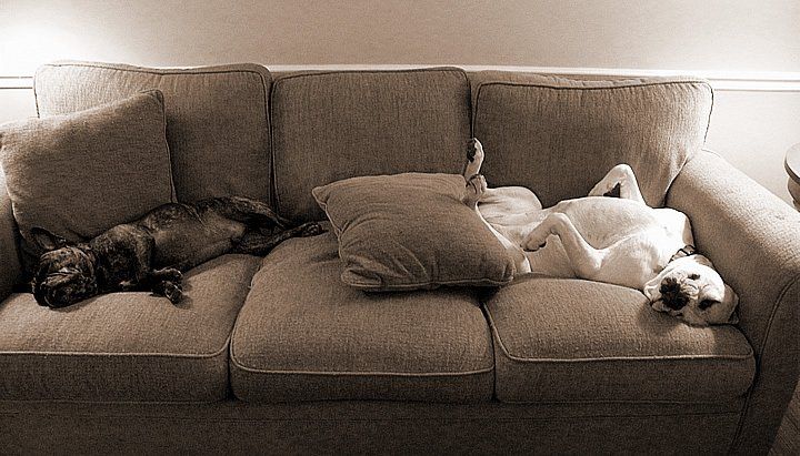 Vacuuming the Upholstery of Back Seats — Jacksonvile, NC — Carolina Clean Care