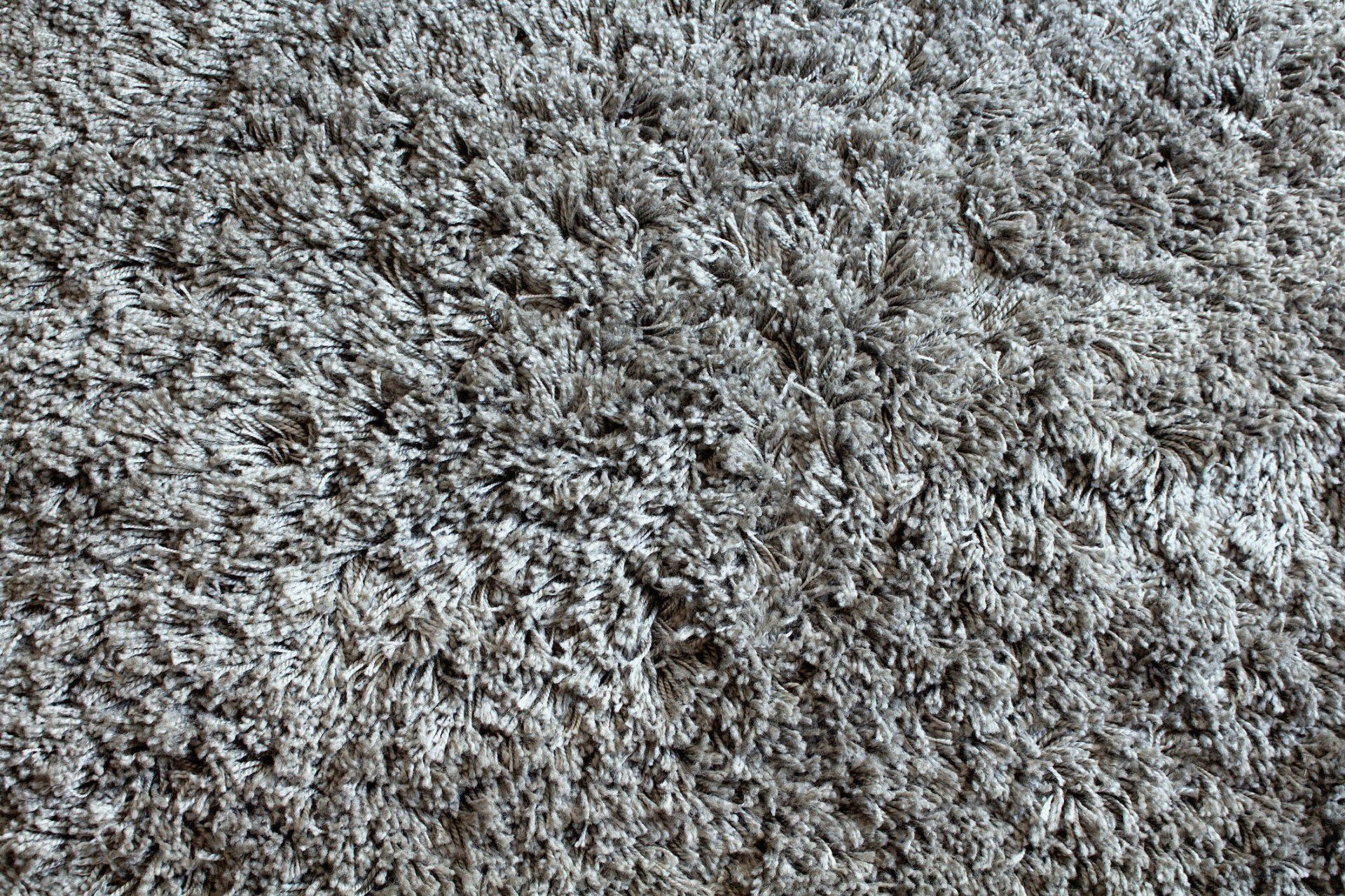 Cleaning Very Dirty Carpet — Jacksonvile, NC — Carolina Clean Care