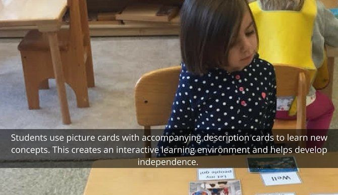 Montessori child working with picture cards