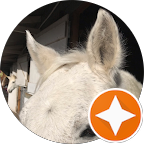 White horse's head close-up with ears perked up. Another horse visible in the background inside a barn. Orange star icon.