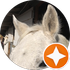 White horse's head close-up with ears perked up. Another horse visible in the background inside a barn. Orange star icon.