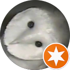 White owl with dark eyes and beak, an orange star badge in the corner.