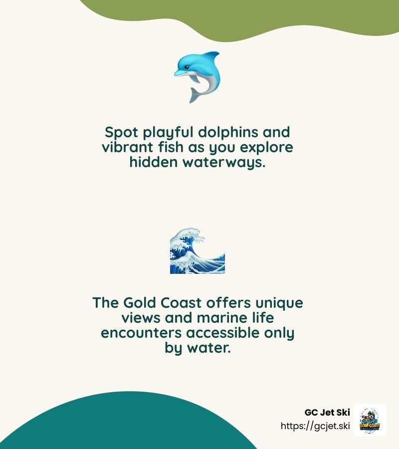 Poster: Spot dolphins & fish in Gold Coast waterways. Turquoise & green; wave & dolphin icons.