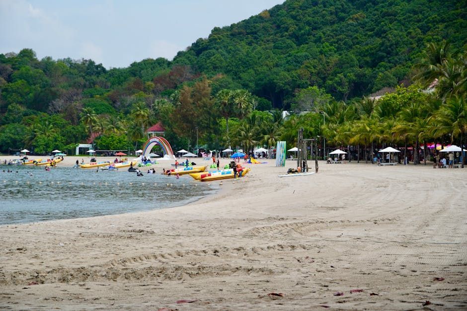 Beach with sand, water, and kayaks. Lush green trees in the background and people enjoying the day.