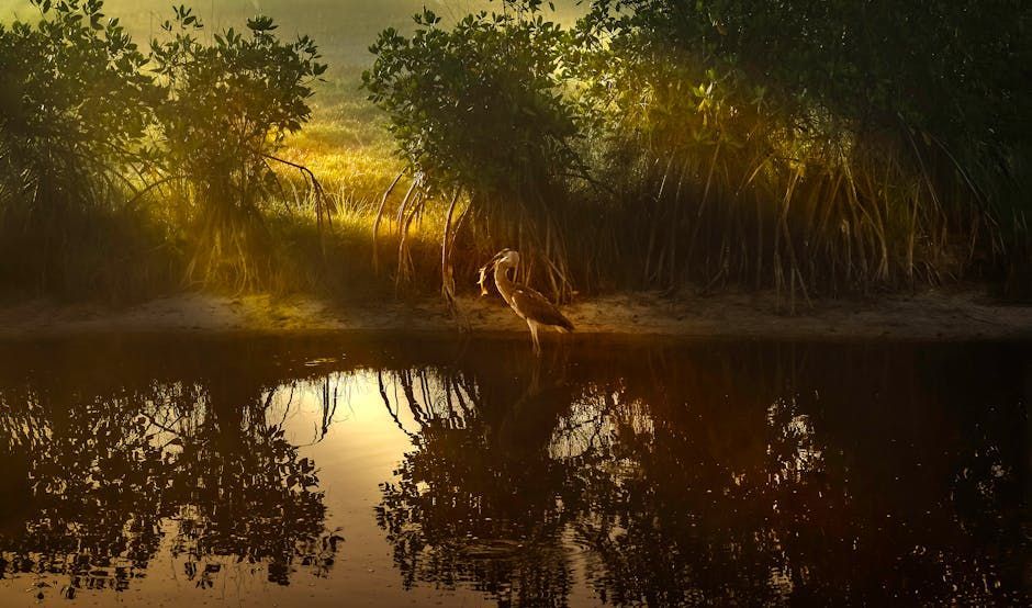 Golden light on a shore with vegetation and reflections. A bird stands in shallow water.