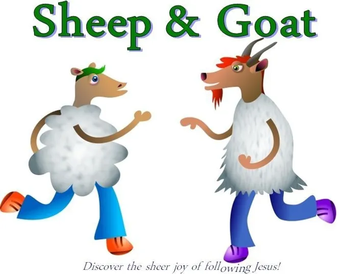 Sheep and Goat Cartoon