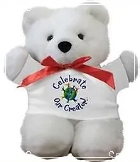 White Teddy Bear
