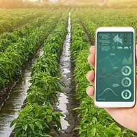 Using Smartphone on the Farm