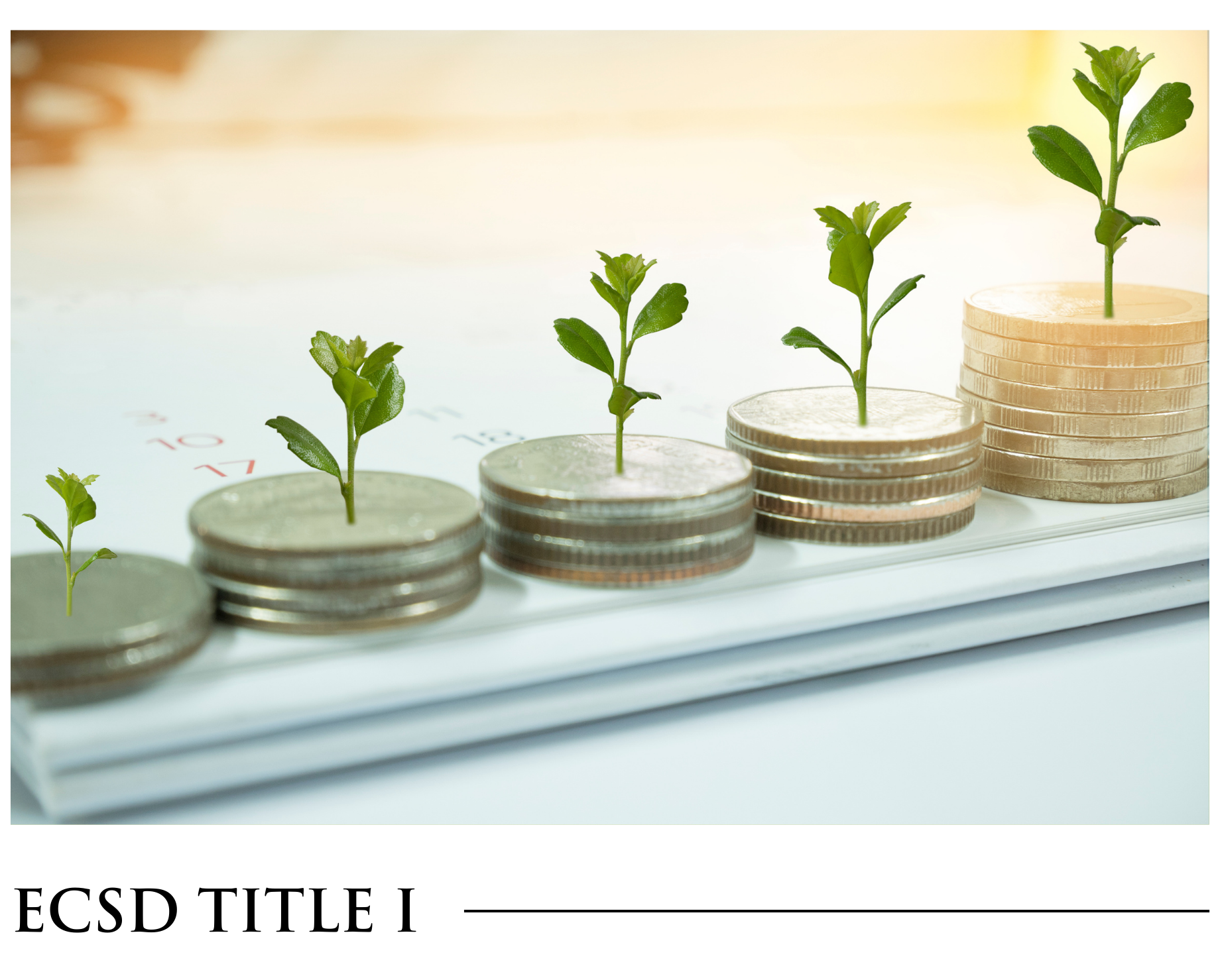 A stack of coins with plants growing out of them.