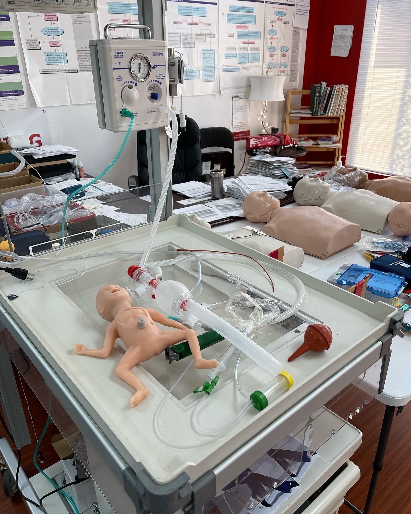 Dummy For Medical Training - Warner Robins, GA - TRW Medical Training LLC