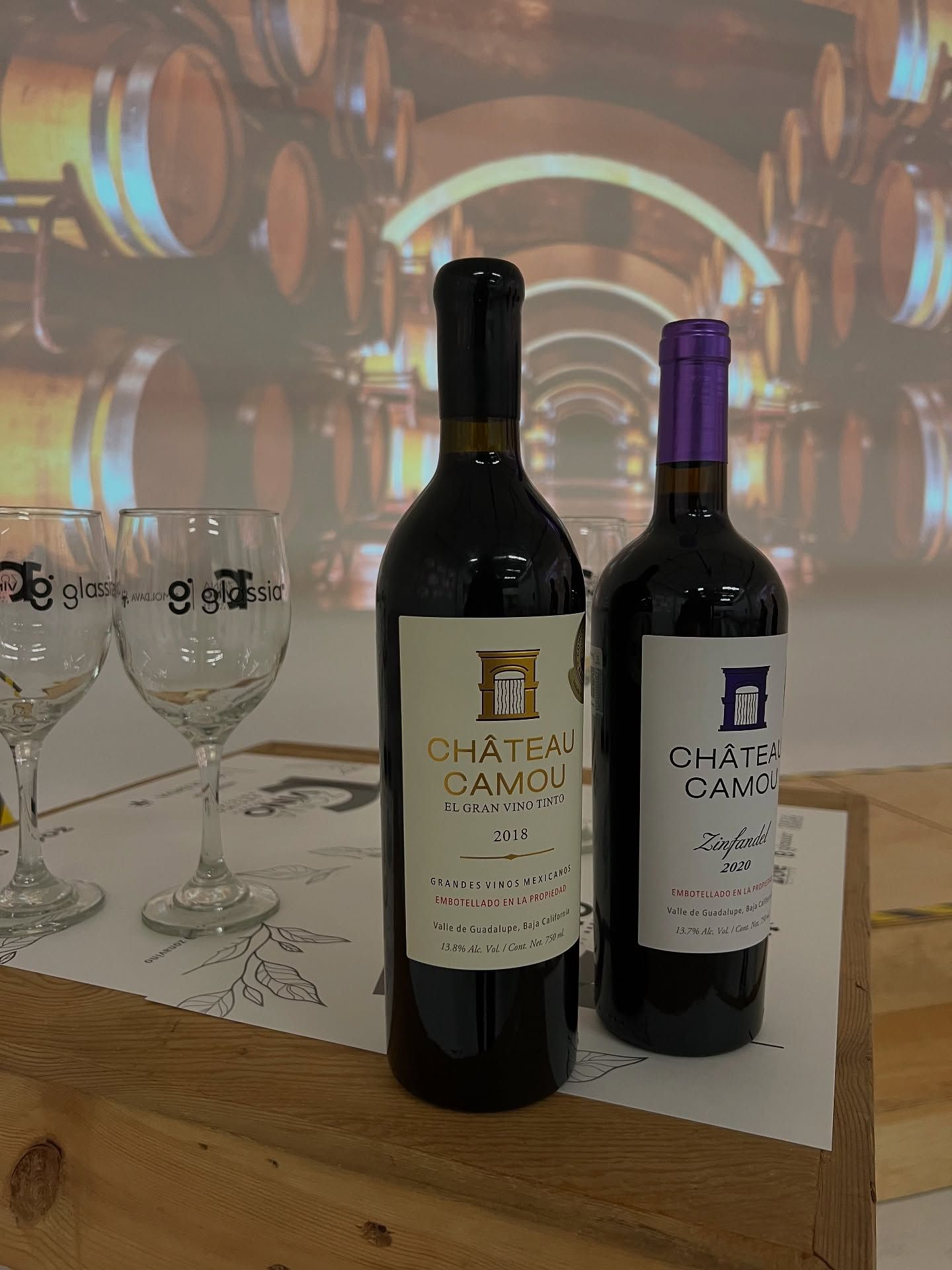 CHÂTEAU CAMOU - Degustación con vinos de mesa y recorridos guiados