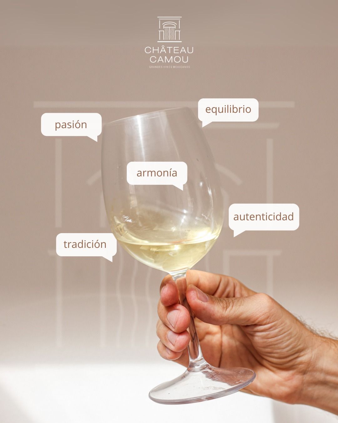 CHÂTEAU CAMOU - Degustación de vino