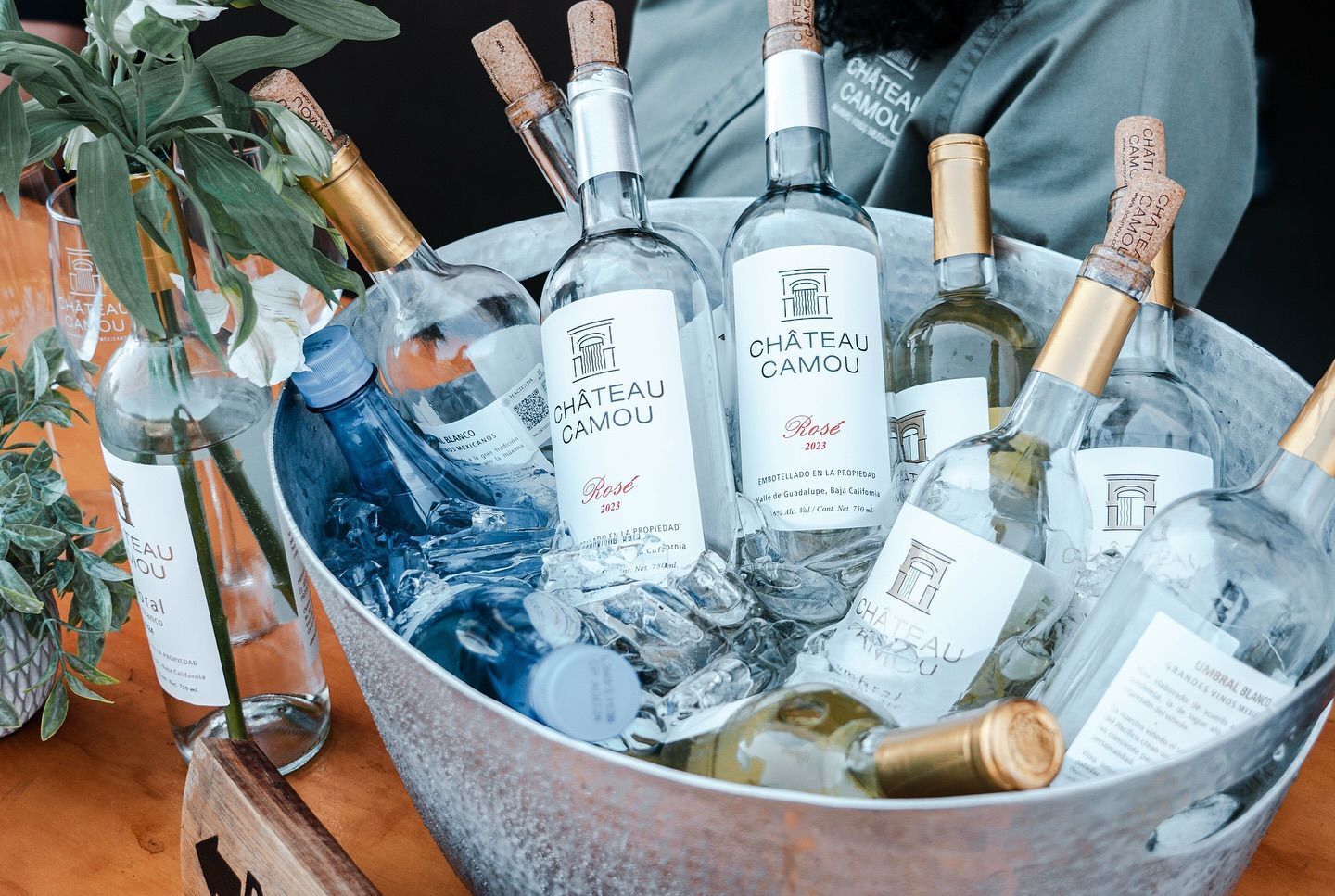 CHÂTEAU CAMOU - vinos en Baja California