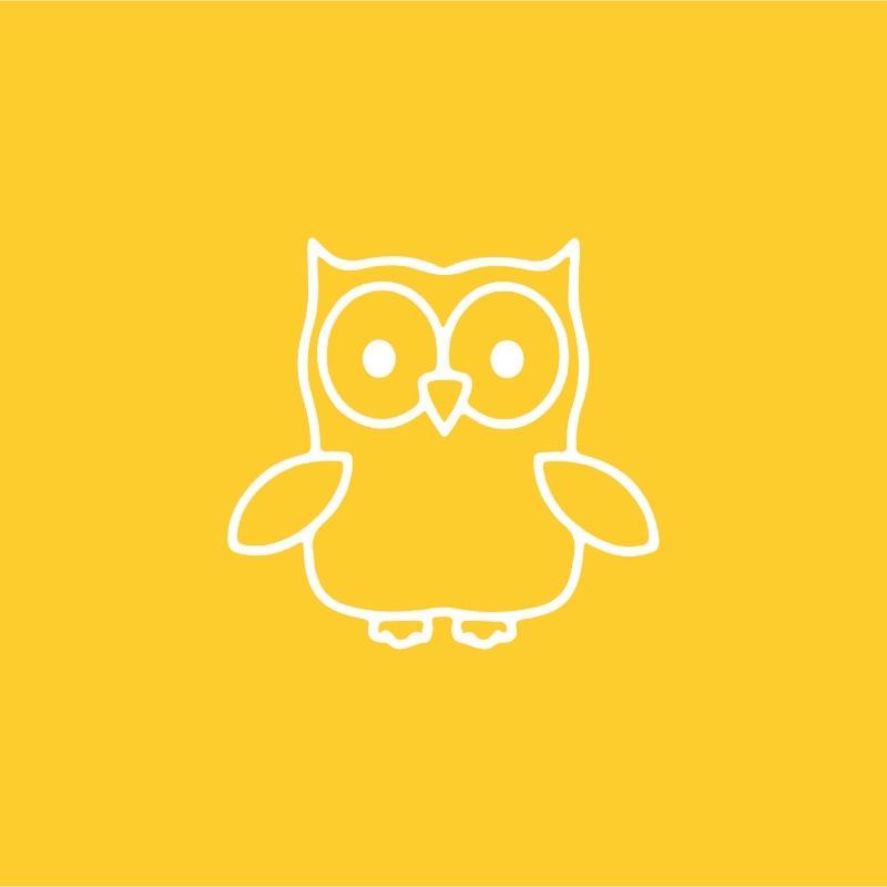 White outline of an owl on a teal background.