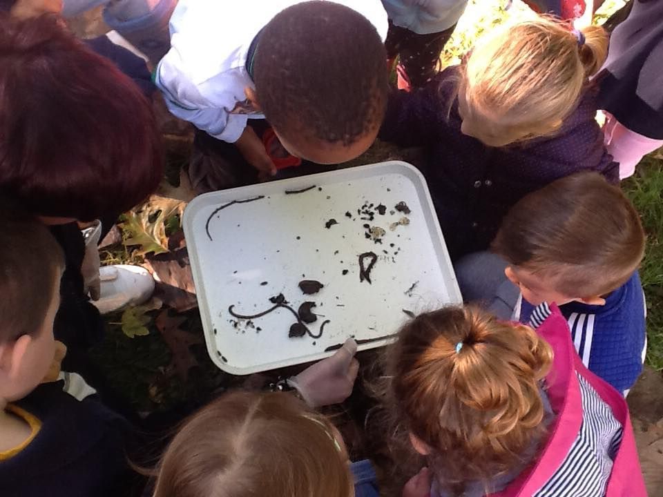 Children gathered around a white tray, examining worms and debris in water. Outdoors.