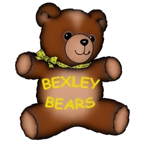 Brown teddy bear with yellow bow, the words 