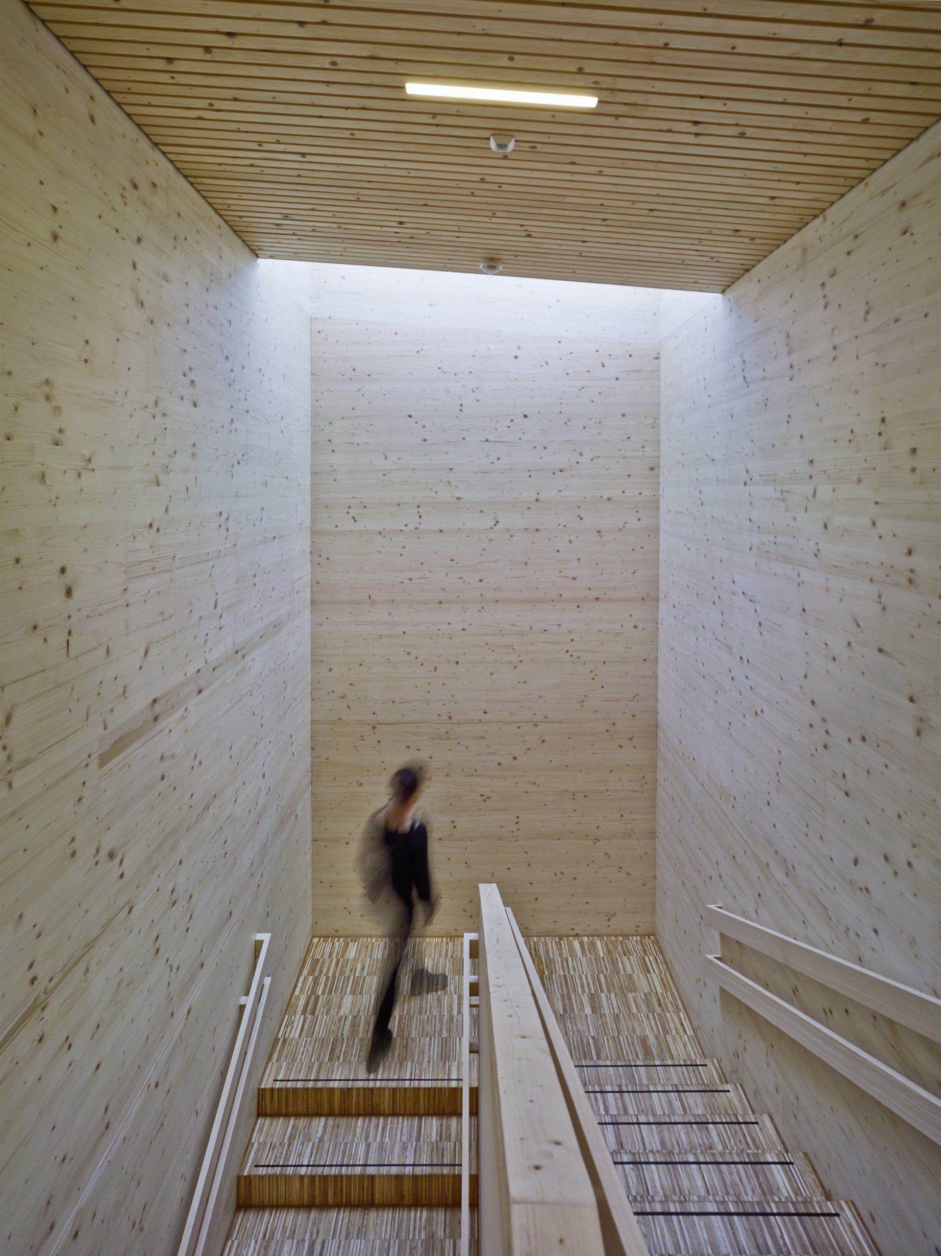 Kindergarten Holzbau Architektur