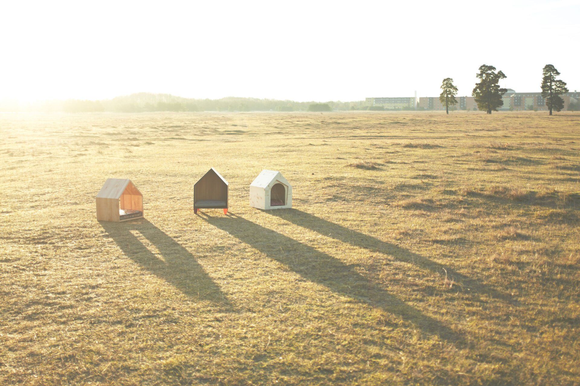 rosi + rufus hundemöbel dog house design