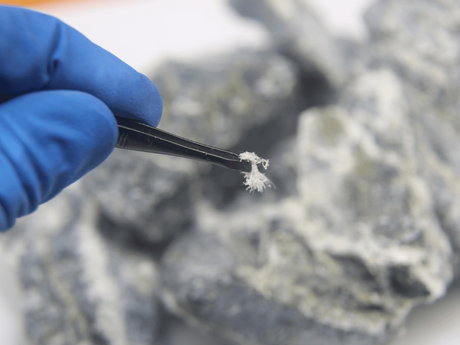 Asbestos Abatement Grand Junction