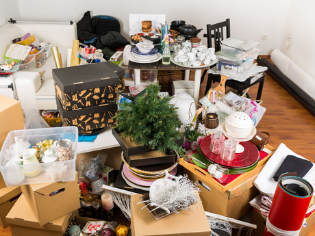 Hoarding Cleanup