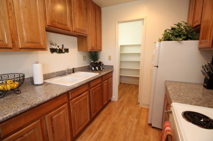 Vintage-G 1 Bdrm Reno Kitchen Granite