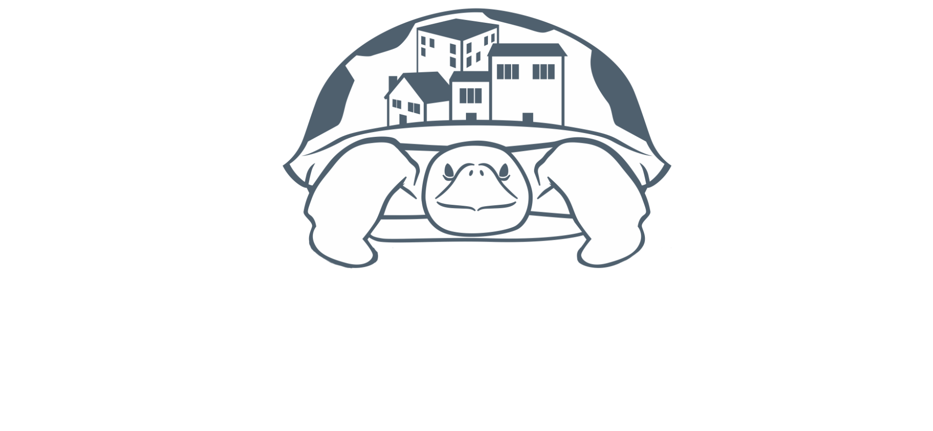 tortoise-cm-final-white-3