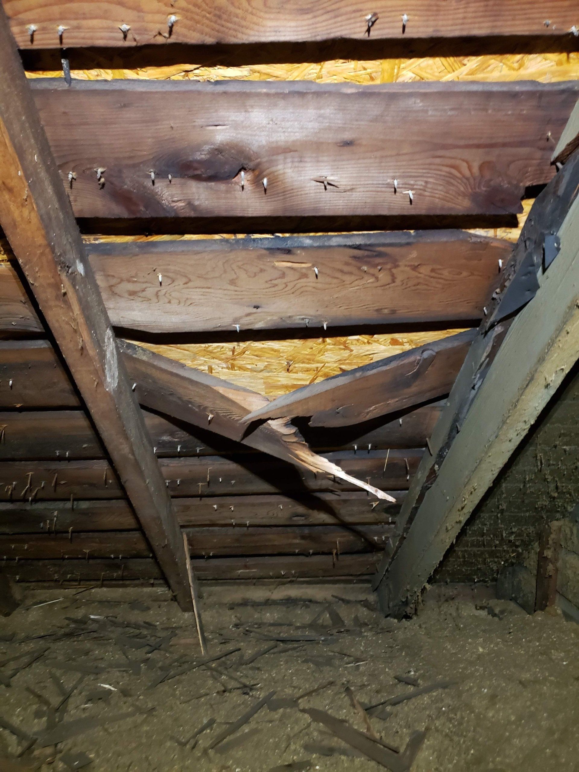 House Interior Damage — Buffalo, NY — Buffalo Girl Home Inspection