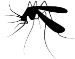 A black and white silhouette of a mosquito on a white background.