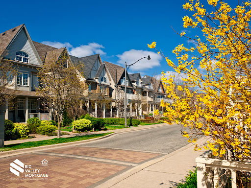 Row of houses along a sunny street with yellow flowering bushes; blue sky.