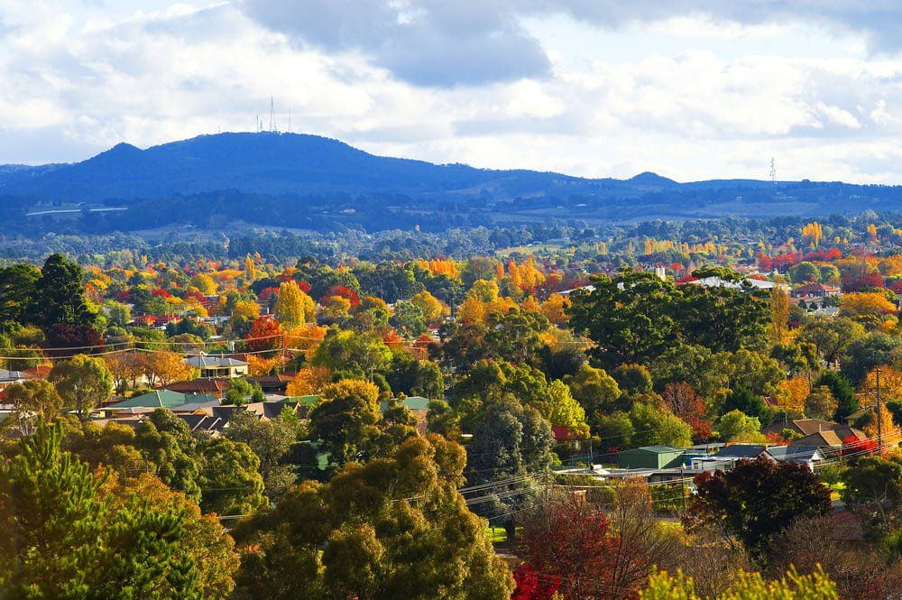 Apples & Vineyards At The Feet Of Mount Canobolas — Plumbers in Orange, NSW