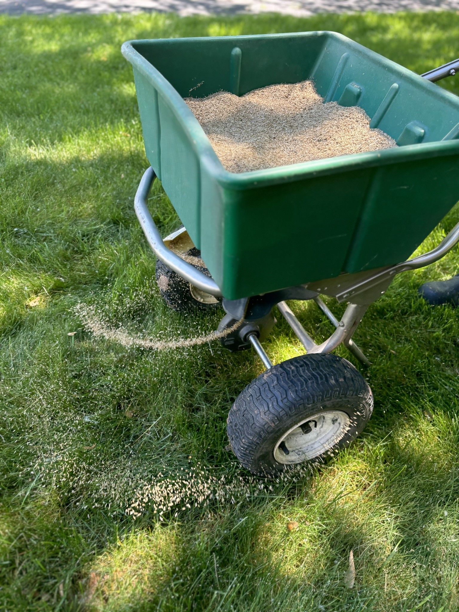 A person is holding a pile of dirt in their hand.