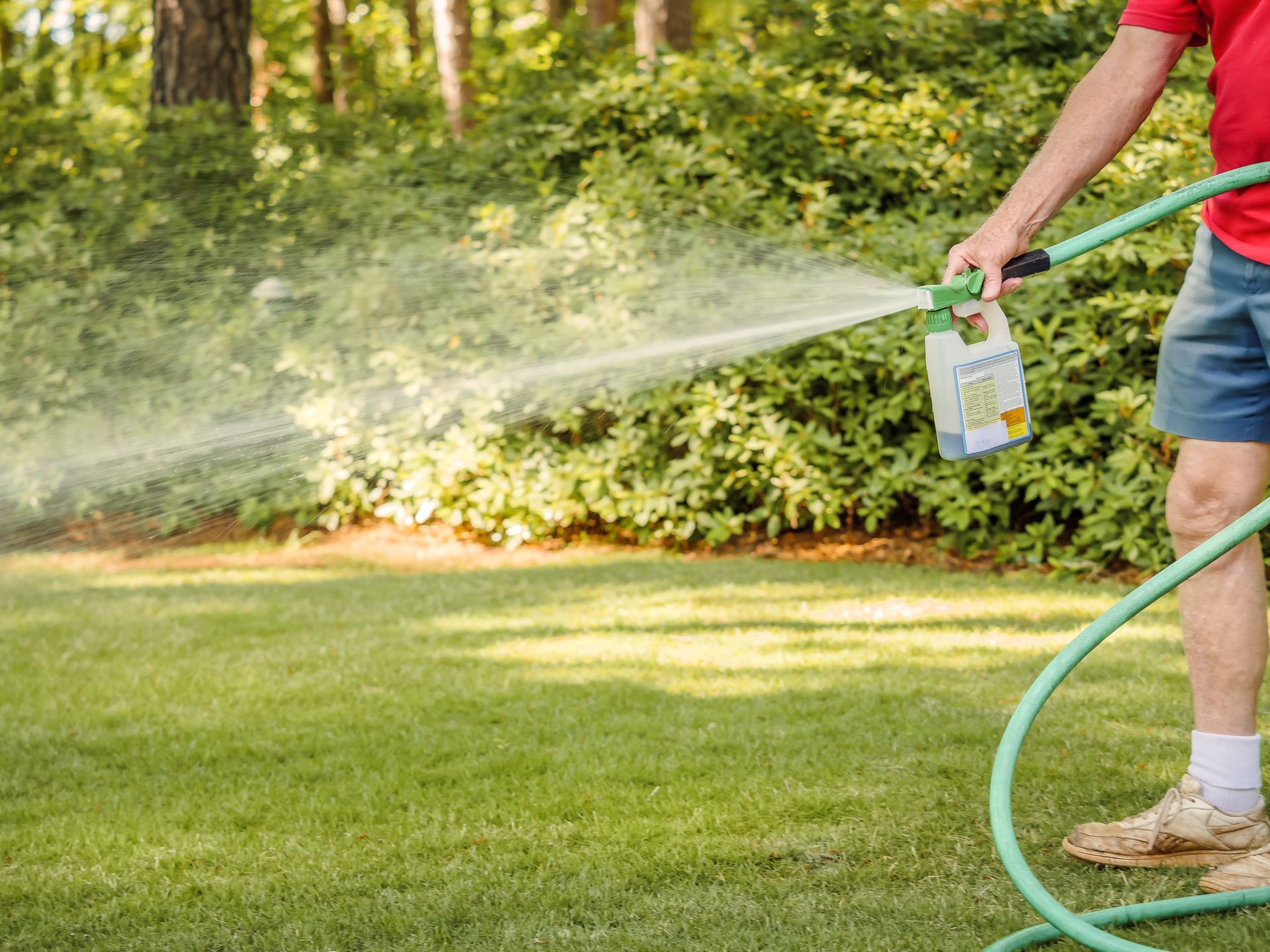 Person spraying weed control solution across a lawn with a hose attachment.