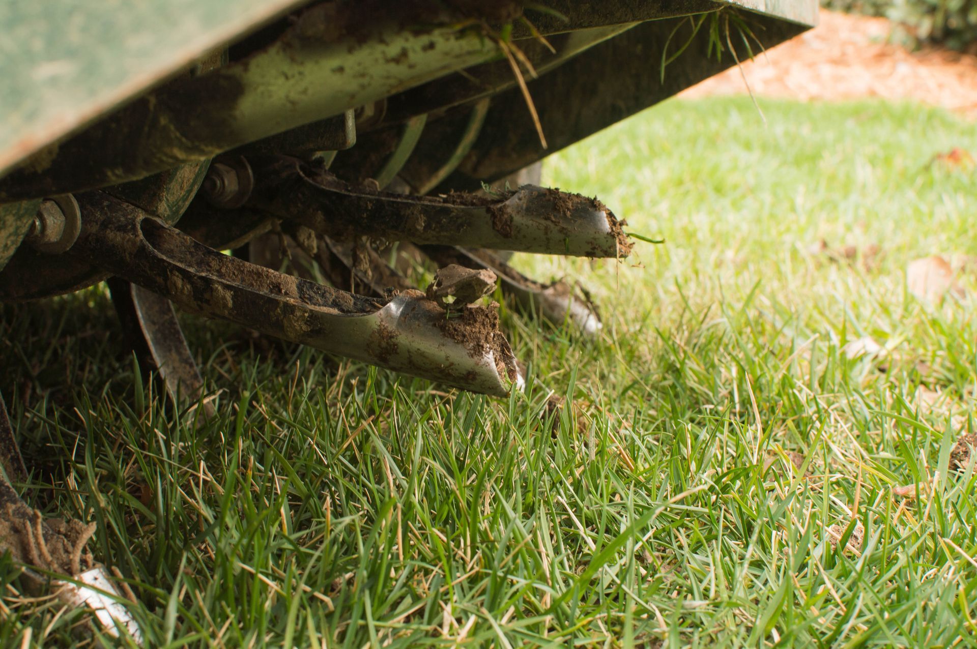 A close up of a lawn mower on a lush green lawn.