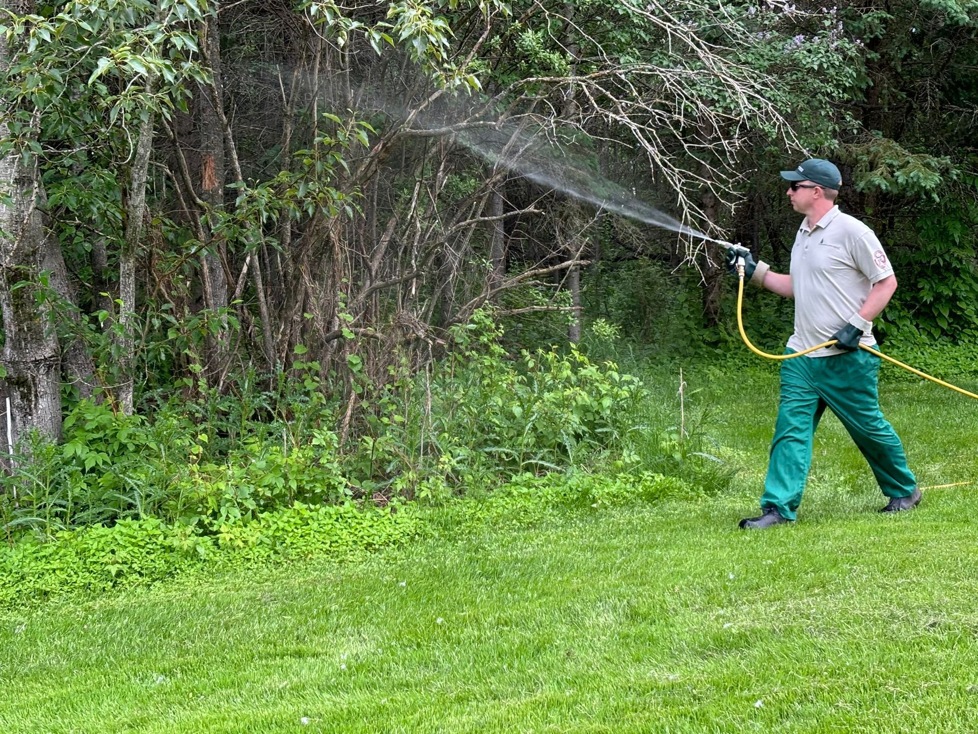 A man spraying the garden for mosquitos, mites, blasts, and insects. A man spraying the garden for mosquitos, mites, blasts, and insects.