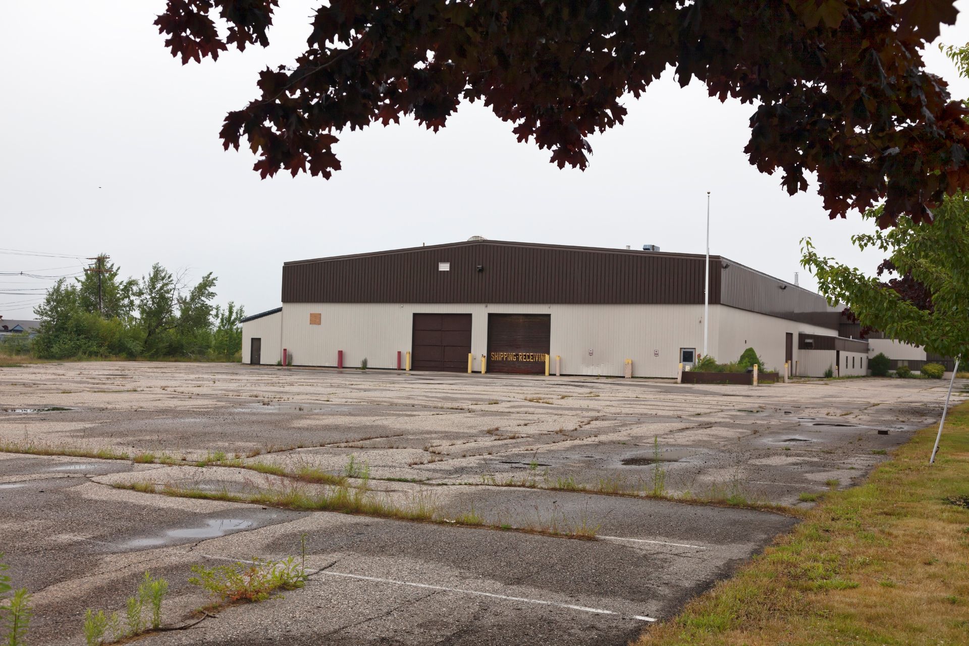 Residential Weed Control Duluth MN