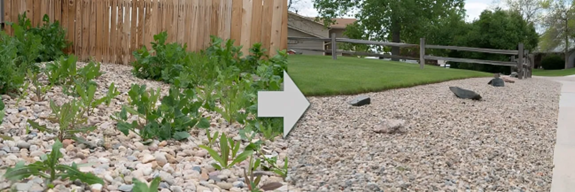 Depiction of residential weed control in Cloquet, MN