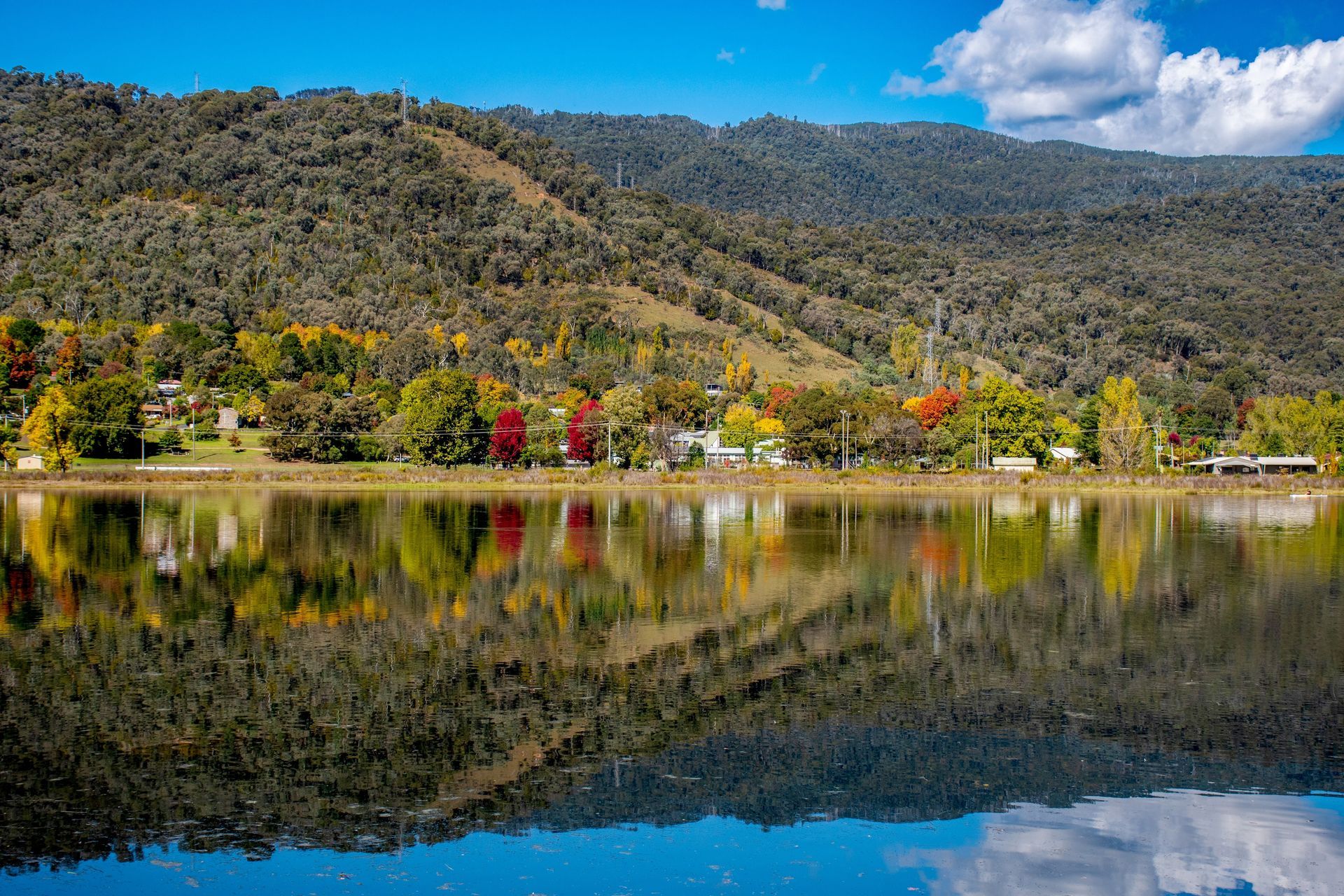 Lake Reflecting a Treelined Shore With Homes and Autumn Foliage — J'adore Flowers & Gifts Cairns in Stratford, VIC