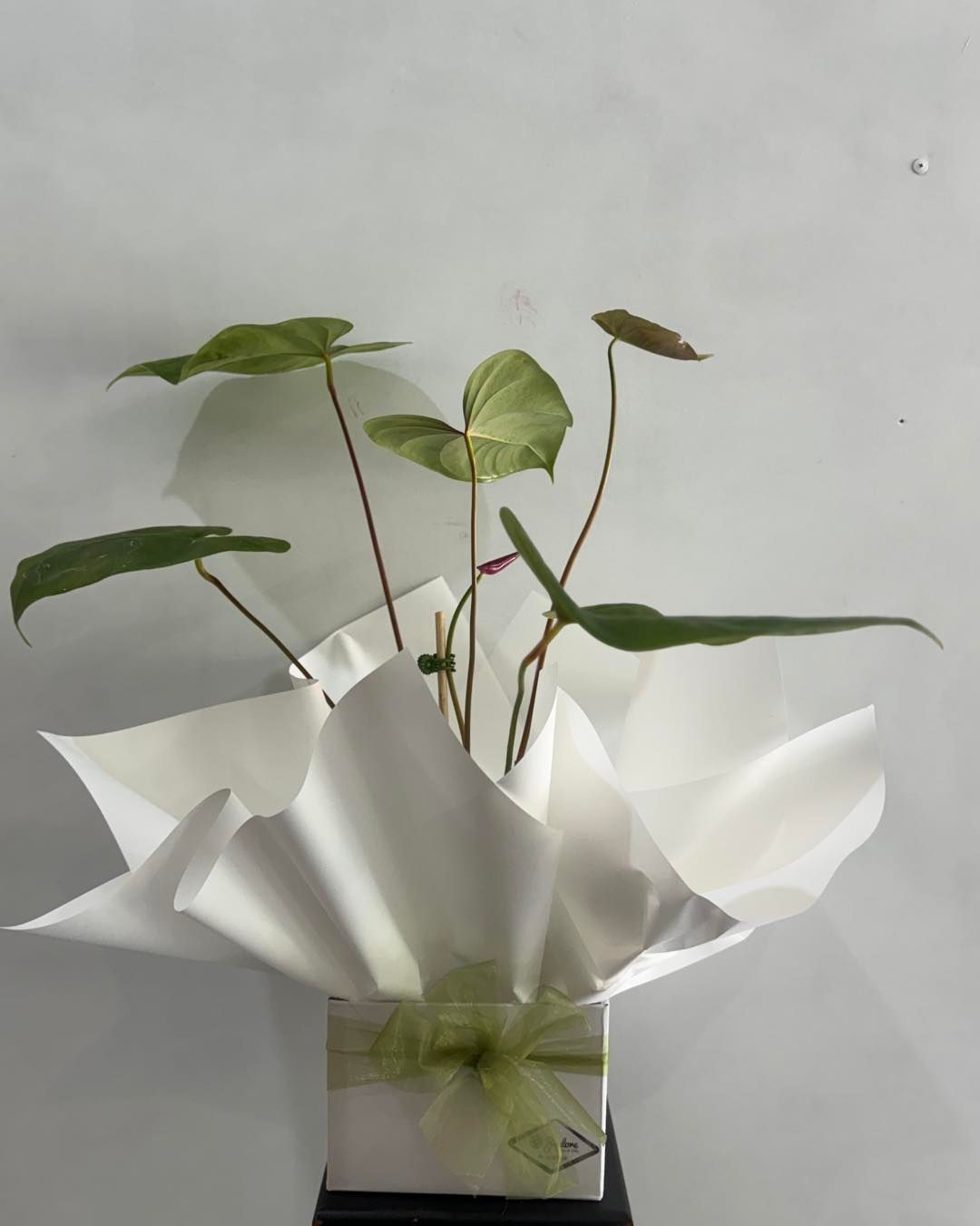 A Floral Arrangement in a White Box With Pink Roses, Orchids, and Lilies — J'adore Flowers & Gifts Cairns in Earlville, QLD