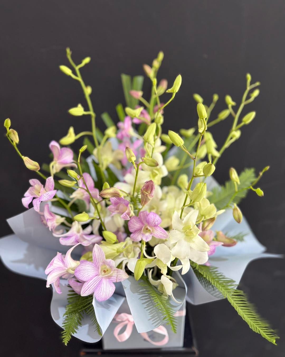 Floral arrangement in blue wrapping: pink, white, and green orchids in a square box, against a dark background — J'adore Flowers & Gifts Cairns in Earlville, QLD