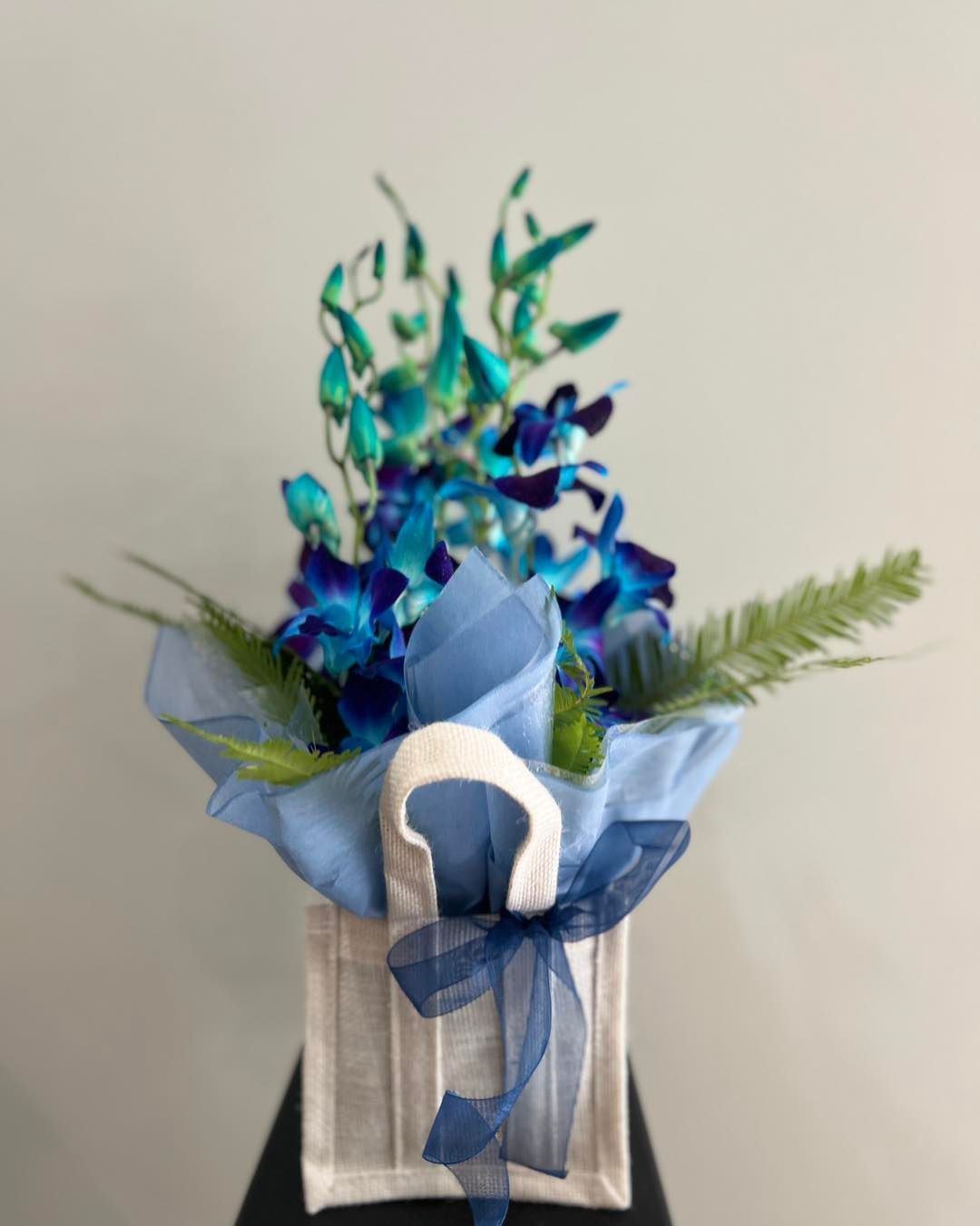 Blue Orchids Arranged in a White Bag With a Blue Ribbon — J'adore Flowers & Gifts Cairns in Smithfield, NSW