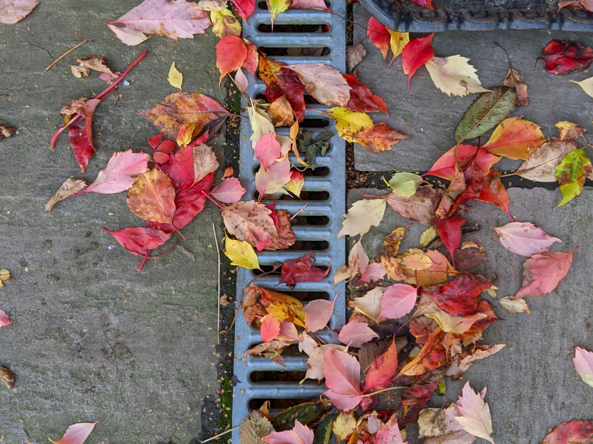 Drainage | Tarpon Springs, FL | Southern Brothers Landscape Design & Lawn Maintenance