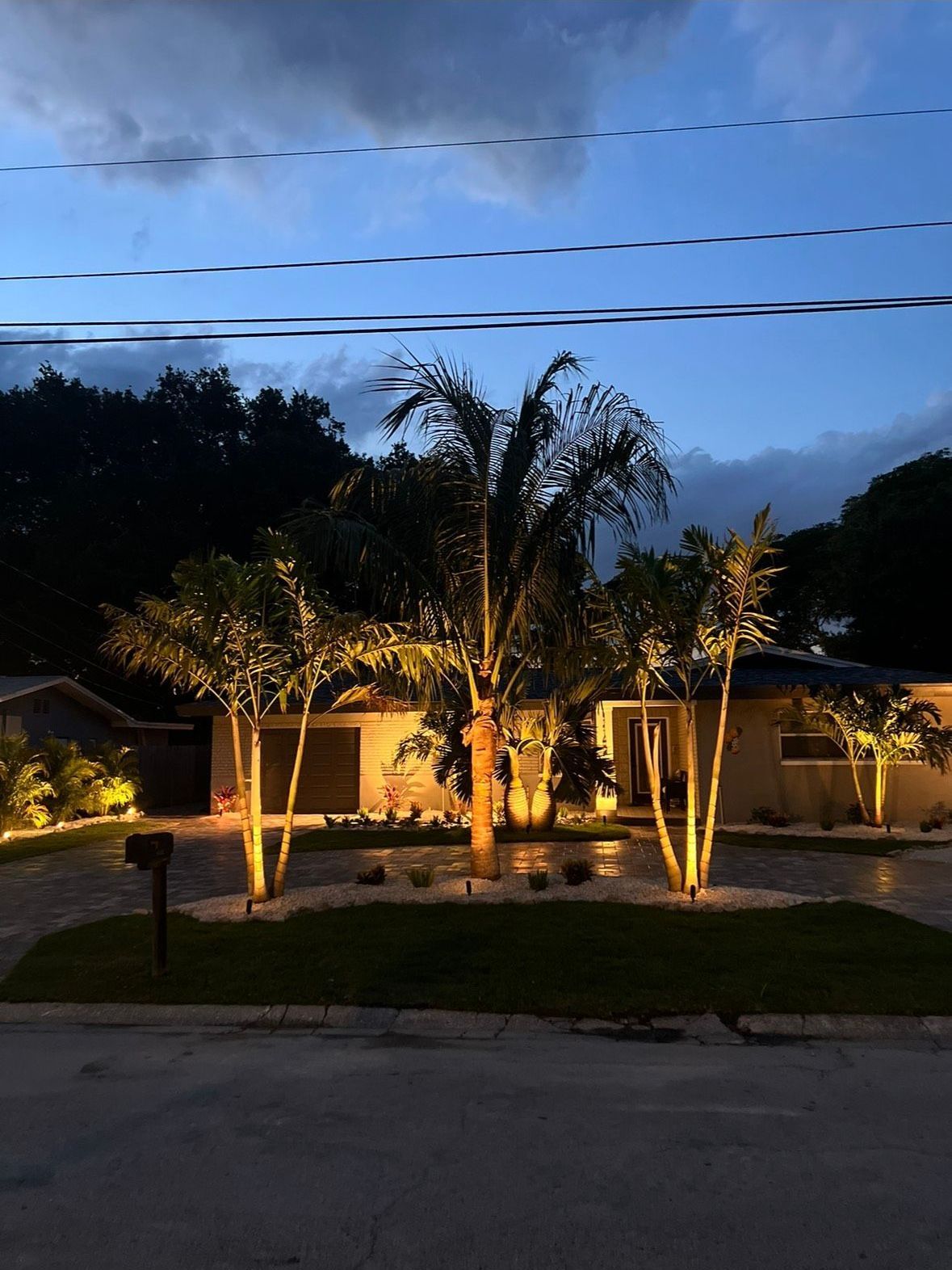 A house at dusk, with landscape lighting illuminating palm trees and the facade.