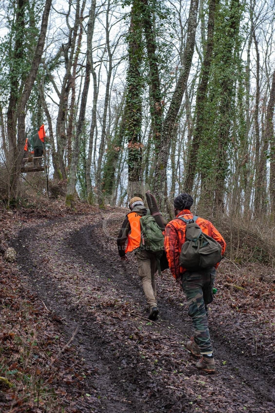 DRIVEN WILD BOAR - G&G Hunting Services