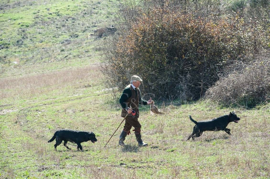 Battuta all'inglese - G&G Hunting Services