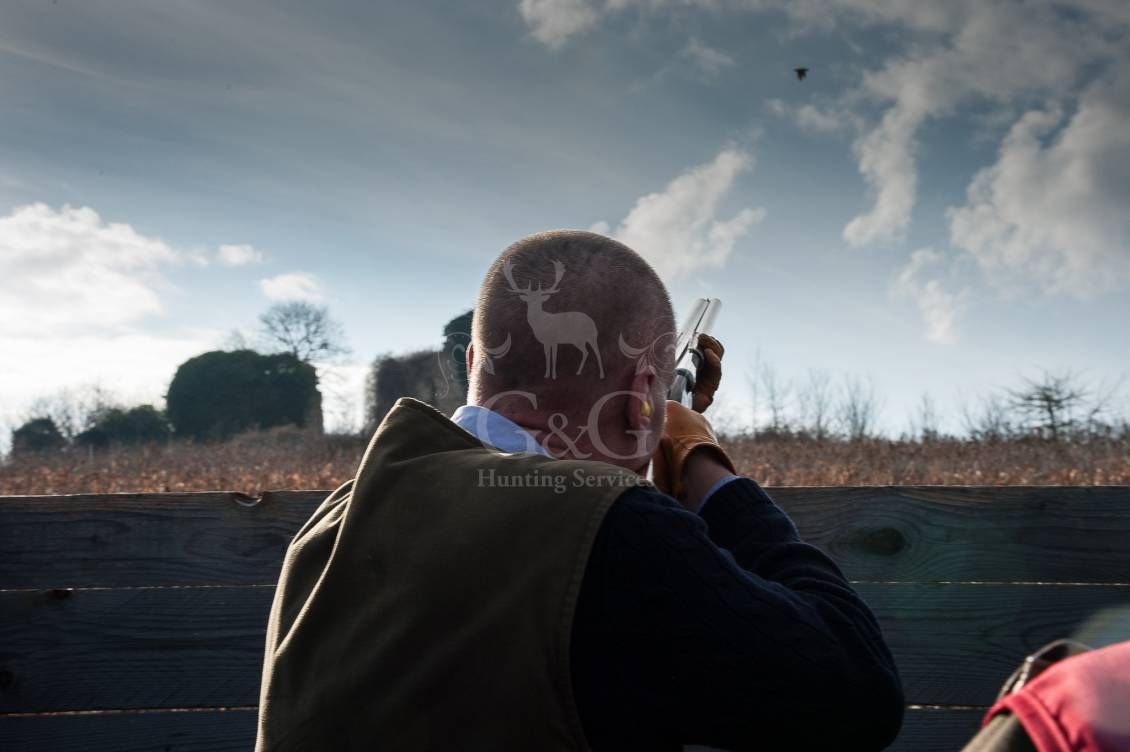 Battuta all'inglese - G&G Hunting Services