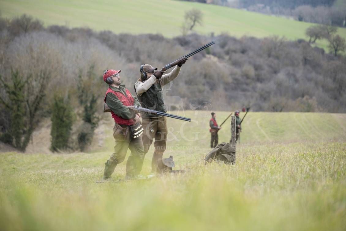 Battuta all'inglese - G&G Hunting Services