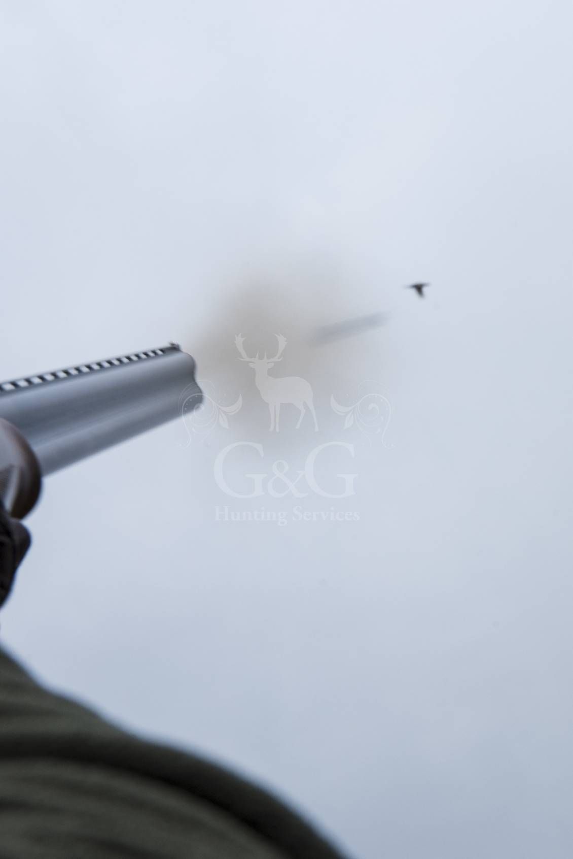 Battuta all'inglese - G&G Hunting Services
